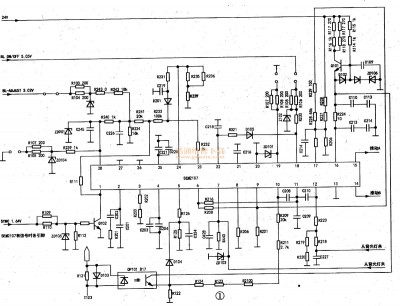 SEM2107_1.jpg